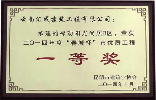 “春城杯”一等奖