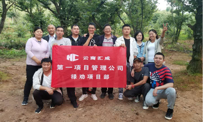 团建协作加强团队凝聚力——团建活动简报