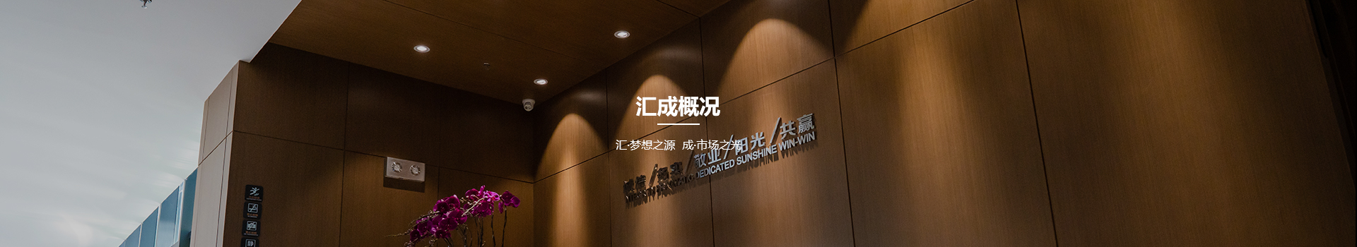 汇成概况